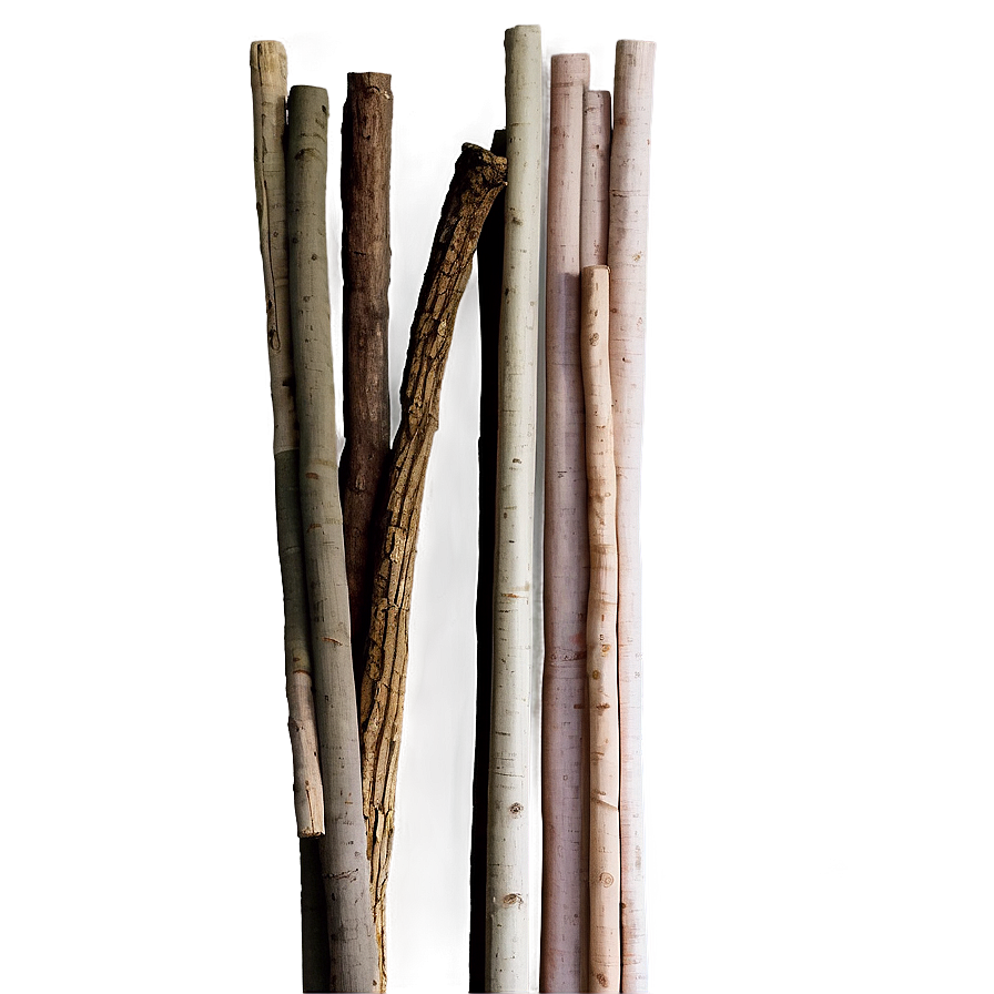 Sticks In Bundle Png 06132024