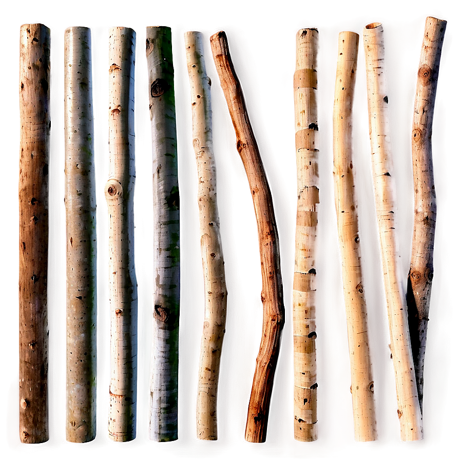 Sticks Texture Png 06132024