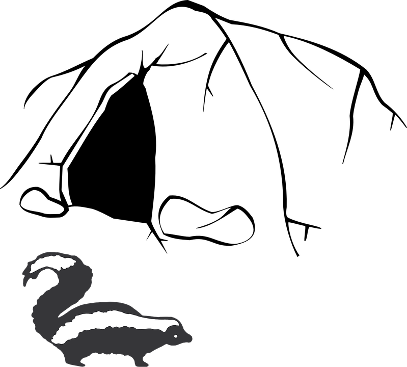 Stinky Skunk Smell Cave Nature Animals - Cave Clip Art PNG image with a transparent background, free high-resolution download