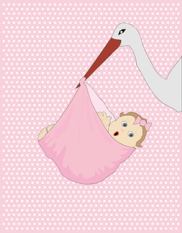 Stork Delivering Baby Illustration