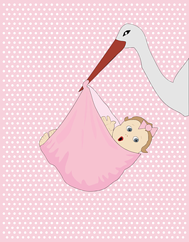 Stork Delivering Baby Illustration PNG with transparent background