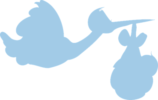 Stork Delivering Baby Silhouette PNG with transparent background