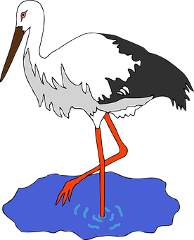 Stork Standingin Water Illustration