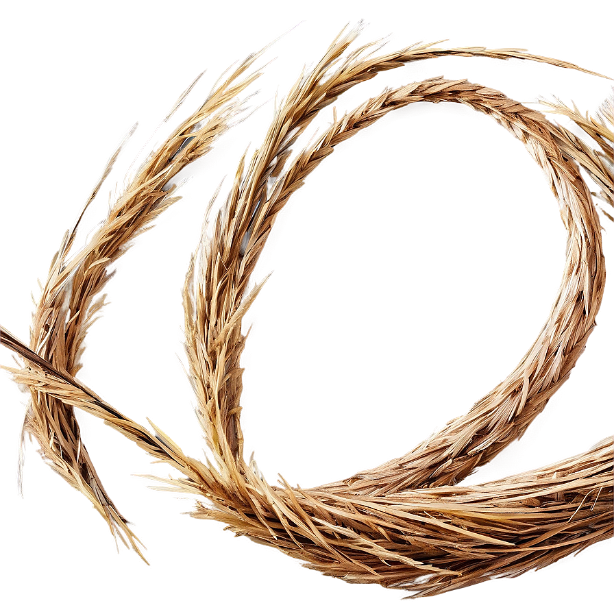 Straw-like Dry Grass Png Loj