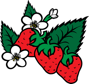 Strawberriesand Flowers Illustration PNG with transparent background