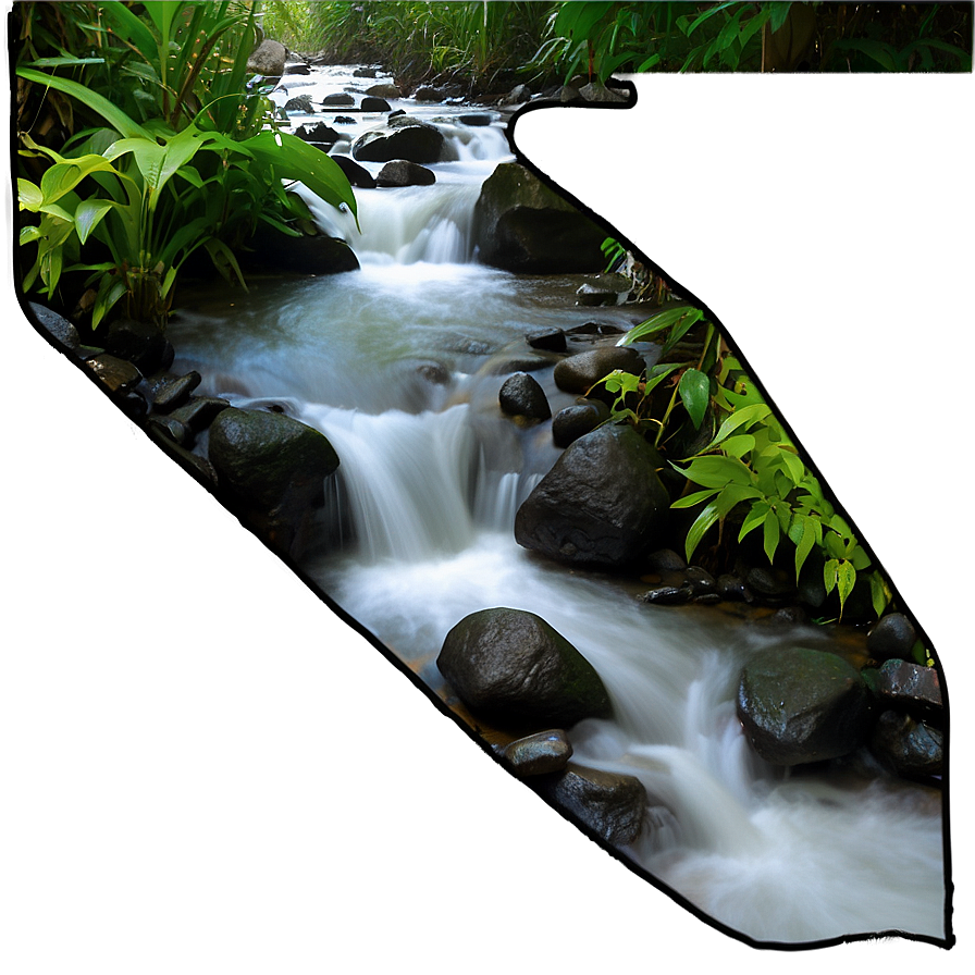 Stream in Rainforest PNG 06262024 PNG with transparent background