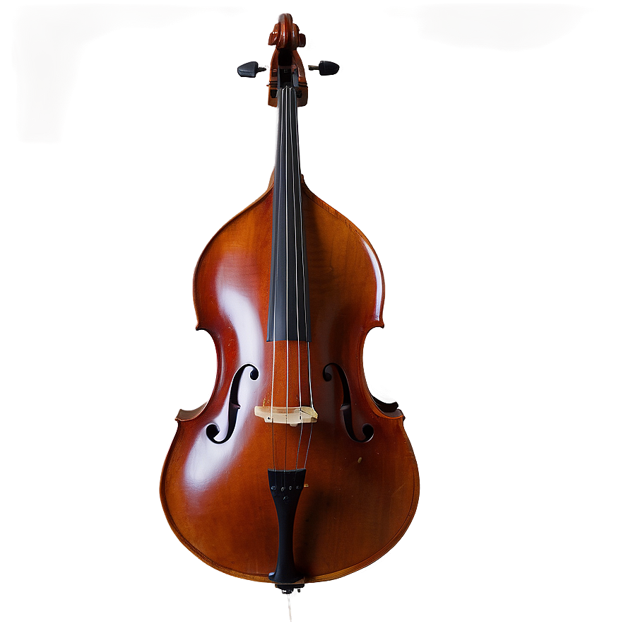 String Double Bass Png Tma