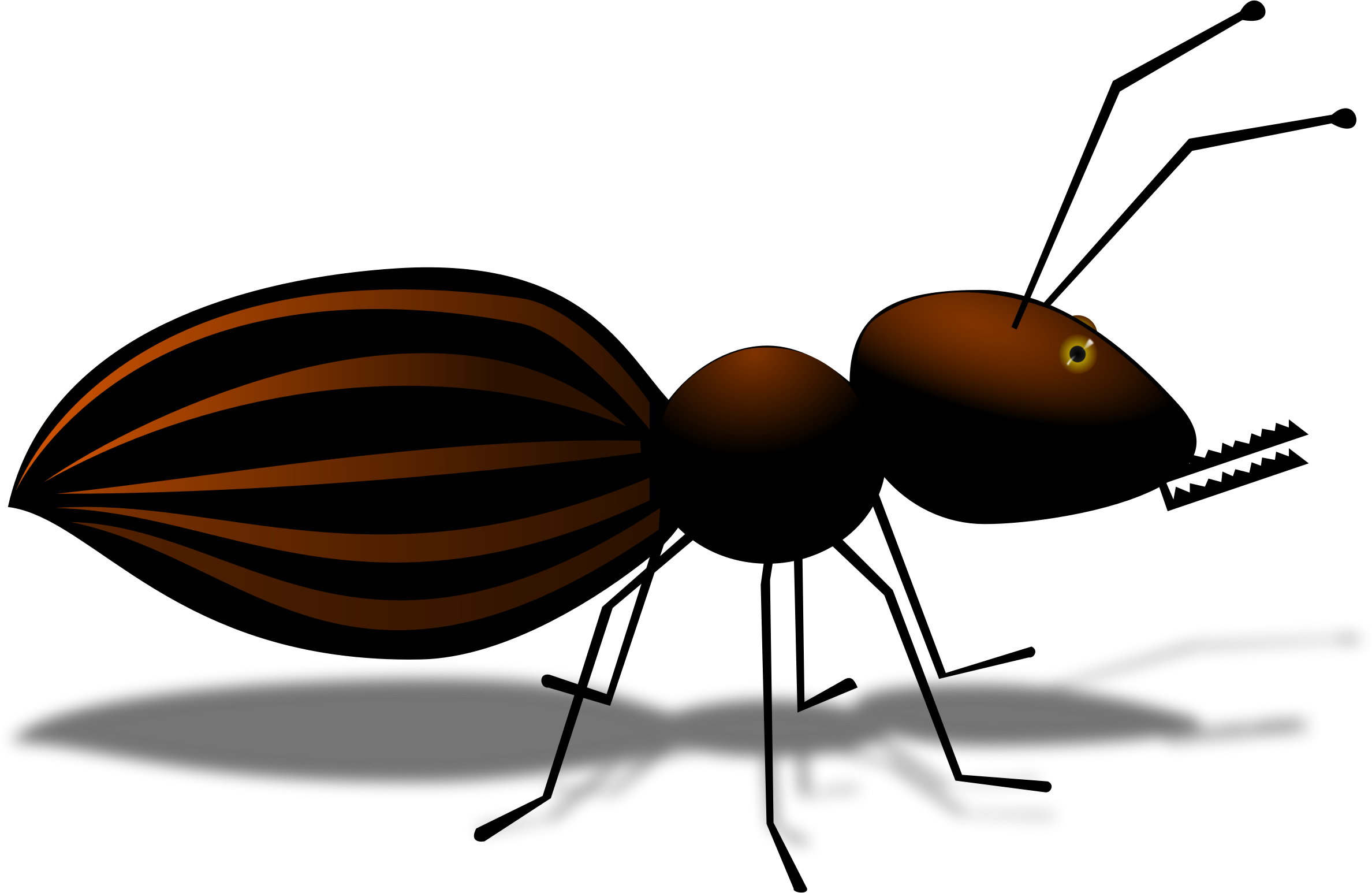 All Photo Png Clipart - Ant, Transparent Png PNG with transparent background