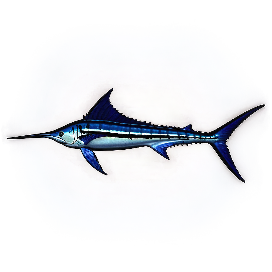 Striped Marlin Png Xjm