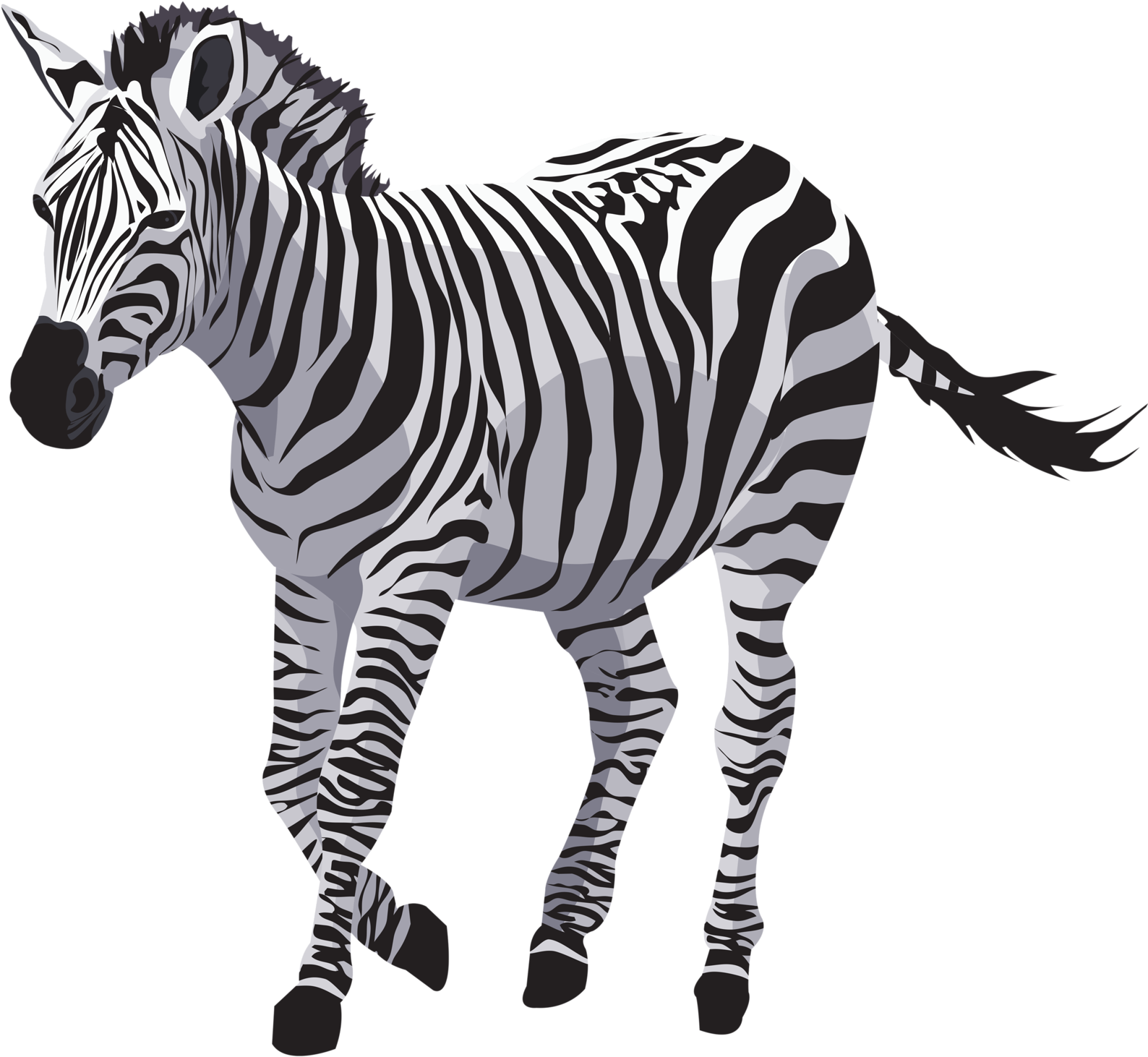 Striped Zebra Illustration