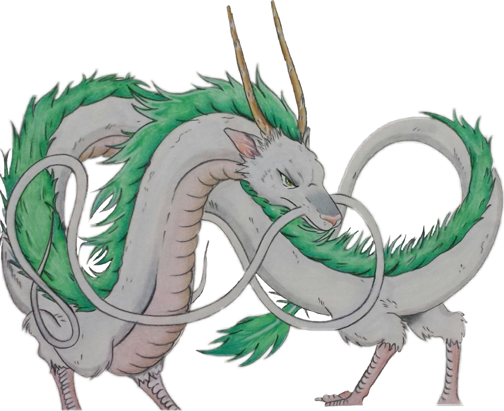 Studio Ghibli Spirited Away Dragon Haku, HD Png Download PNG with transparent background