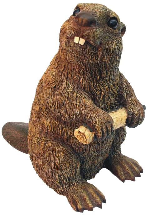 Beaver Png High-quality Image - Michael Carr 609031 Beaver Medium 4.5x7.8x7.8 In PNG with transparent background