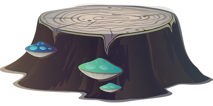 Stump_with_ Mushrooms_ Illustration