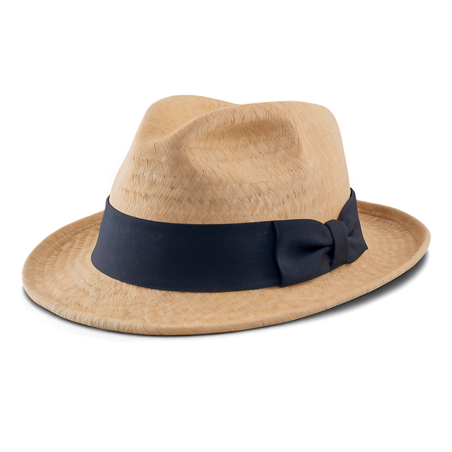 Stylish Fedora Hat Png 06262024