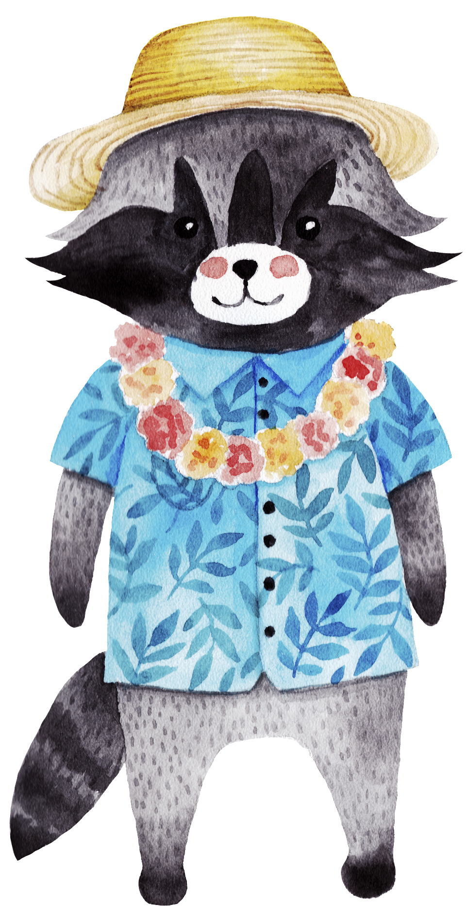 Hawaiian Style Raccoon Png Transparent, Png Download PNG with transparent background