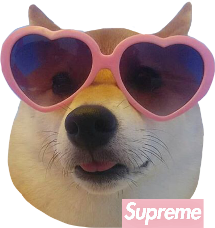 Stylish Shiba Inuwith Heart Shaped Sunglasses