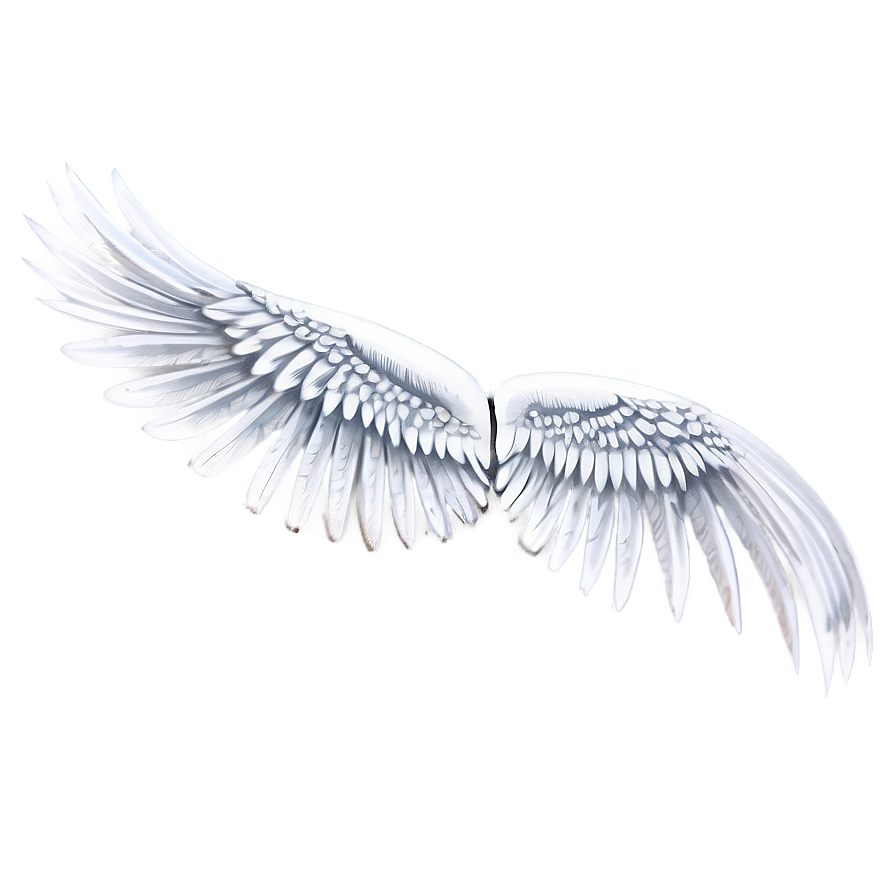 Stylish White Wings Png 78