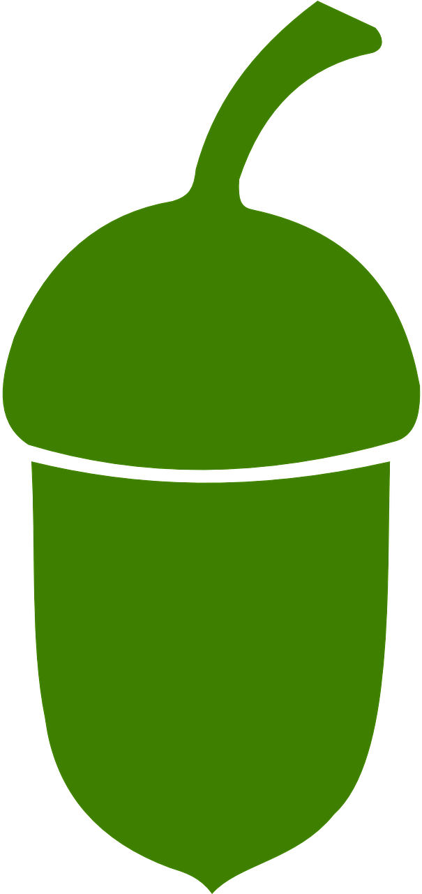 Stylized Acorn Icon