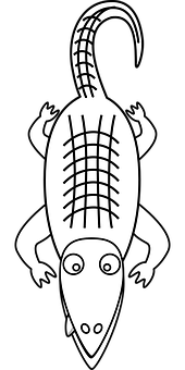 Stylized Alligator Illustration PNG with transparent background