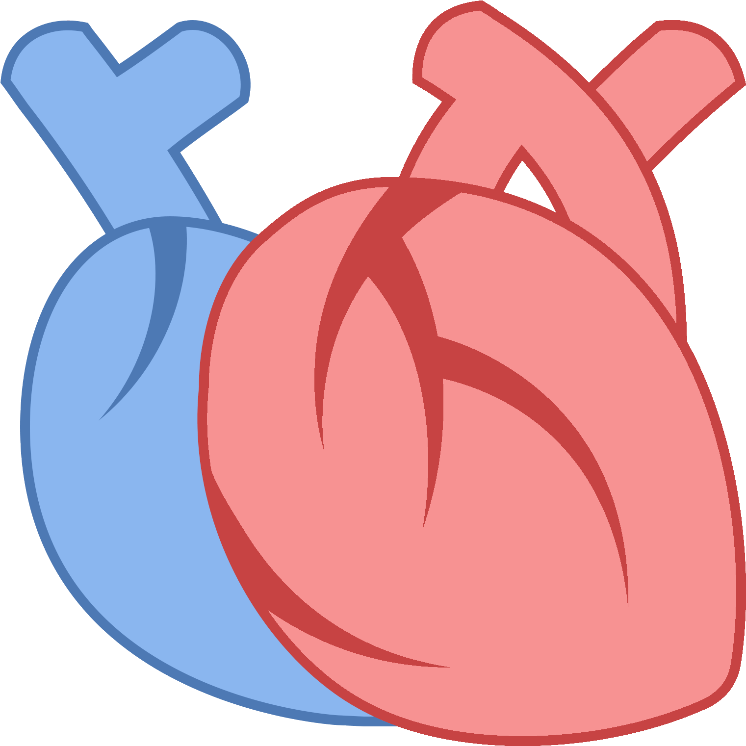 Stylized Anatomical Heart Icon