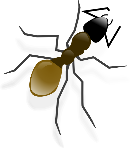 Ant Bw Clip Art, HD Png Download PNG with transparent background
