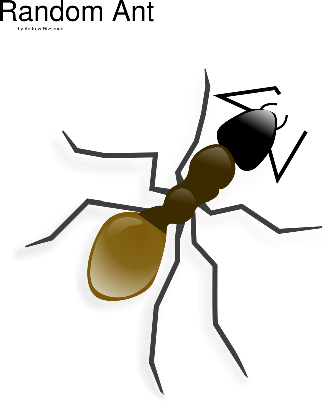 Ant - Ant Clip Art, HD Png Download PNG with transparent background