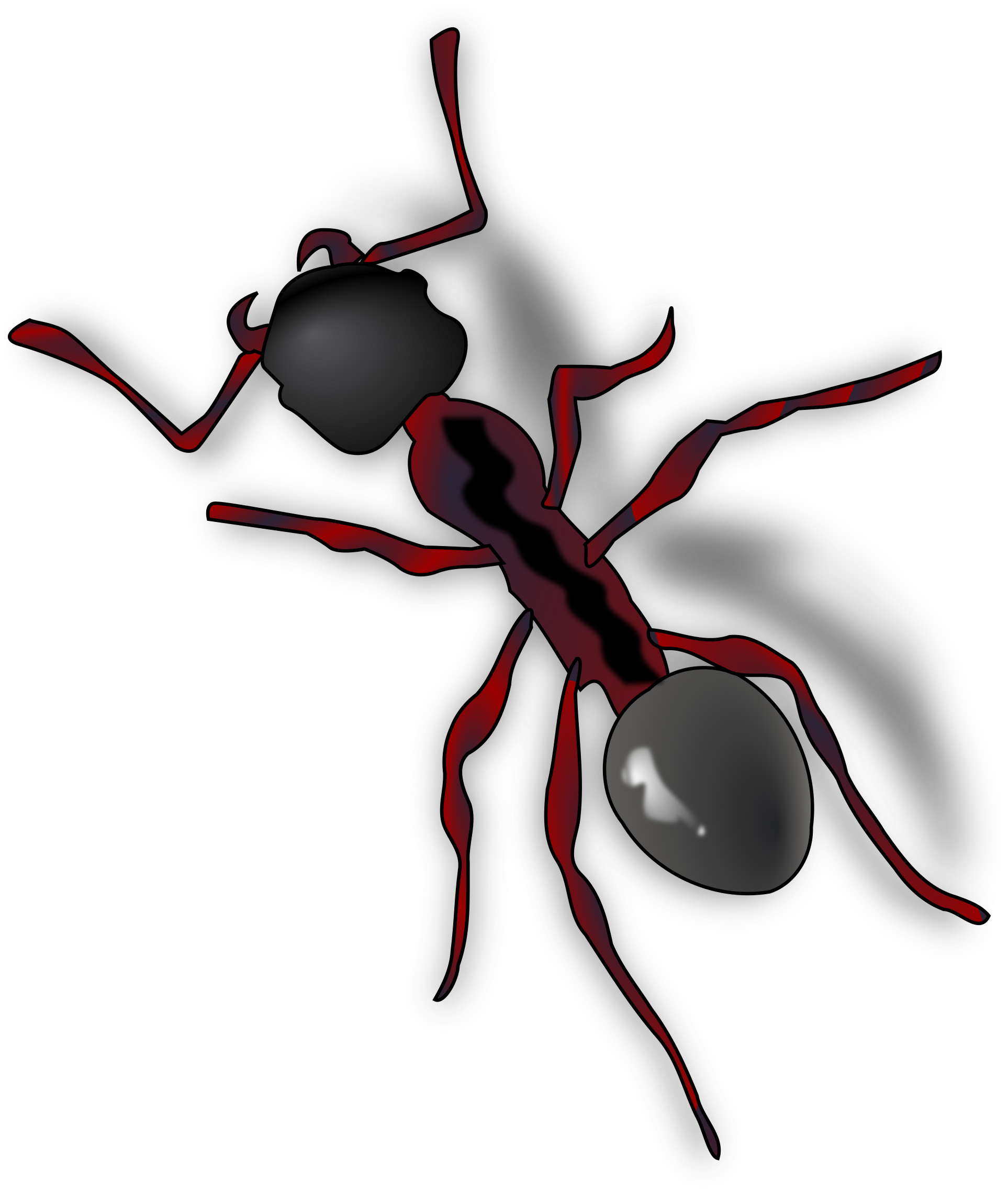 Ant Png - Ant Clip Art, Transparent Png PNG with transparent background