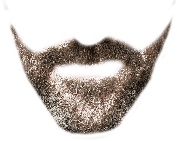 Designer Transparent Background - Beard Transparent Background PNG image with a transparent background, free high-resolution download