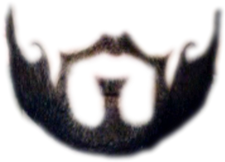 Transparent Beard Scruffy - French Cut Beard Png PNG image with a transparent background, free high-resolution download