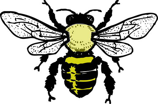 Stylized Bee Illustration PNG with transparent background