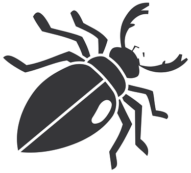 Stylized Beetle Graphic PNG with transparent background