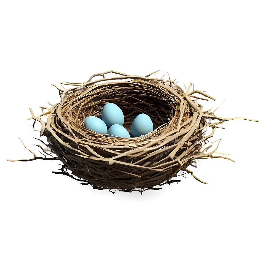 Stylized Bird Nest Png 05252024