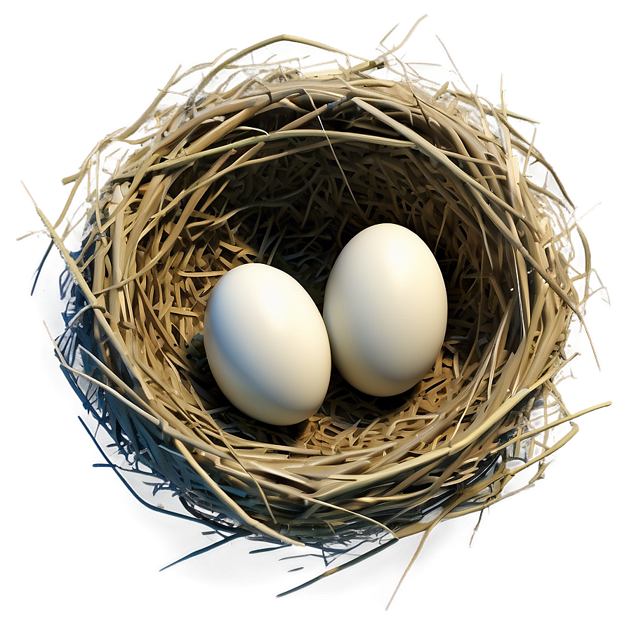 Stylized Bird Nest Png 93