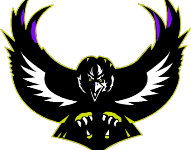 Stylized Black Raven Graphic