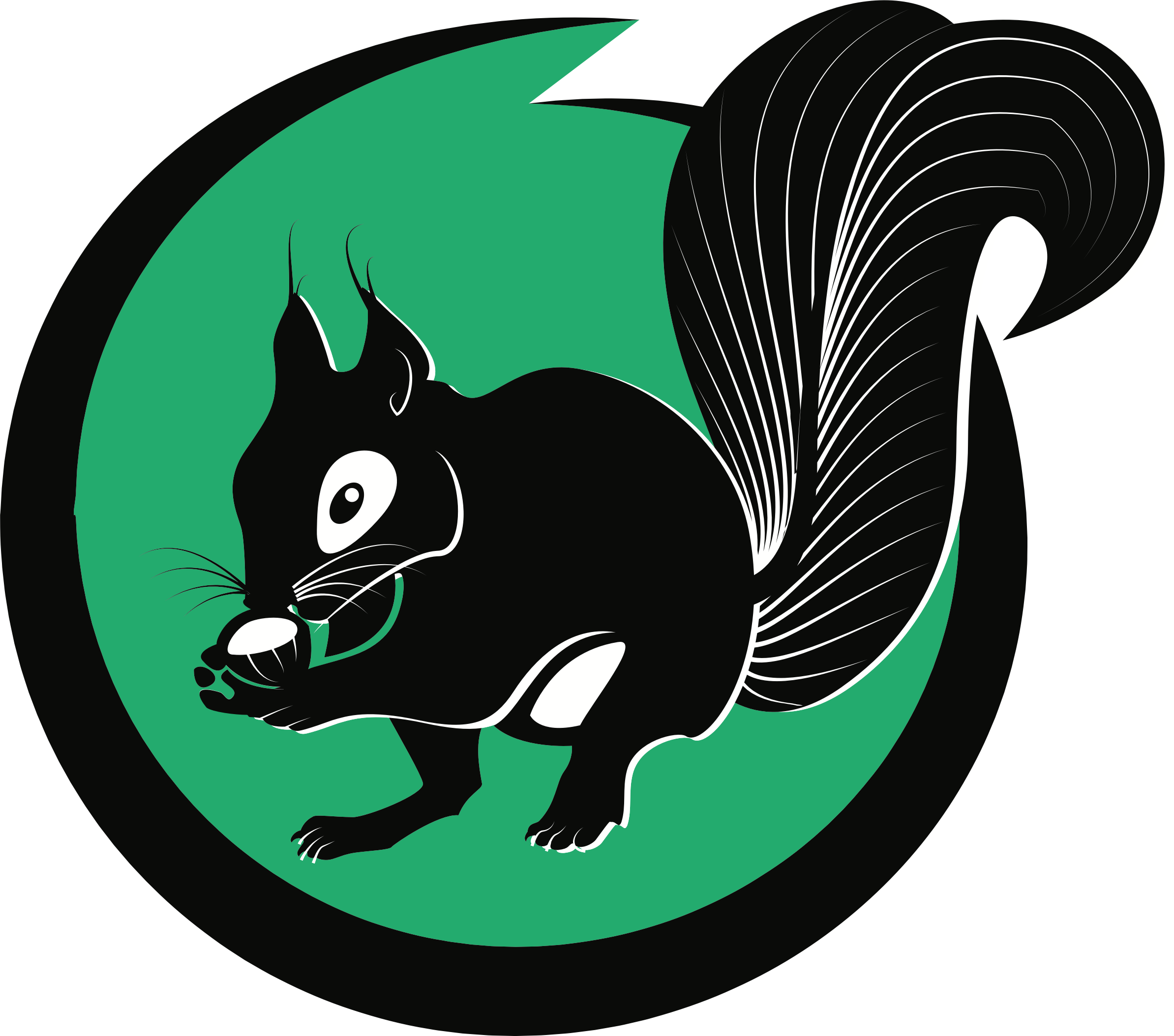 Stylized Black Squirrel Graphic