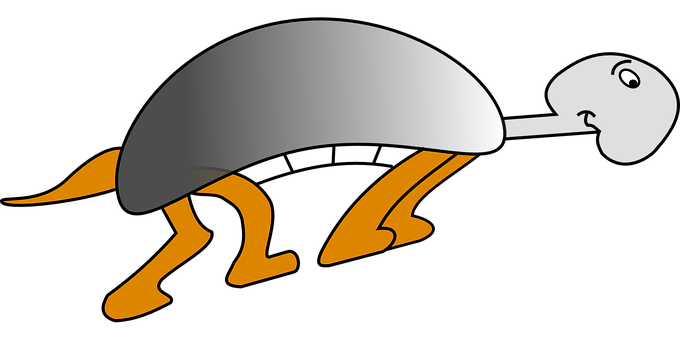 Stylized Black Turtle Illustration PNG with transparent background