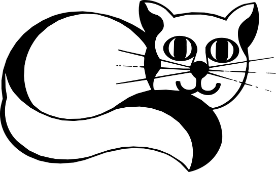 Stylized Blackand White Cat Illustration