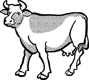 Stylized Blackand White Cow Illustration