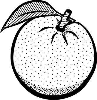 Stylized Blackand White Orange Illustration