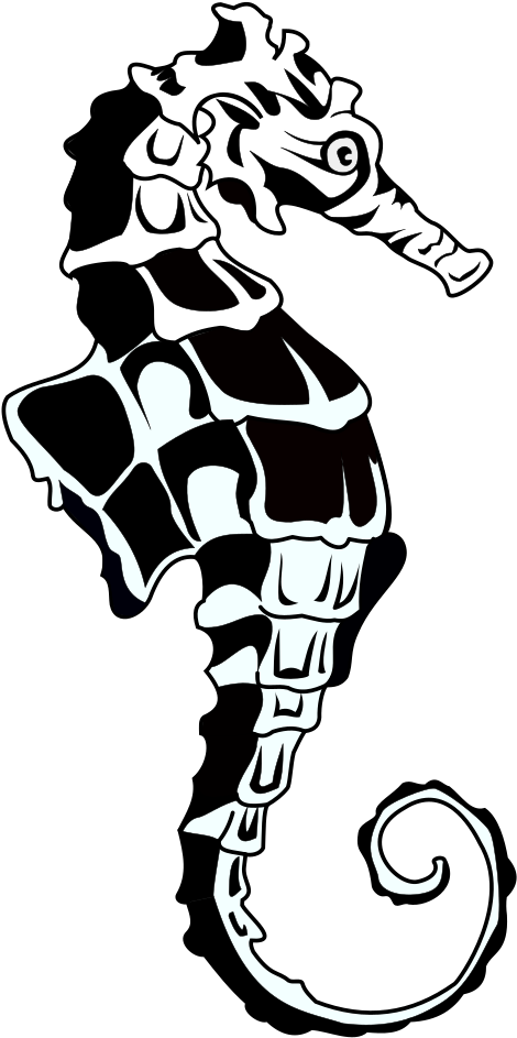 Stylized Blackand White Seahorse Illustration