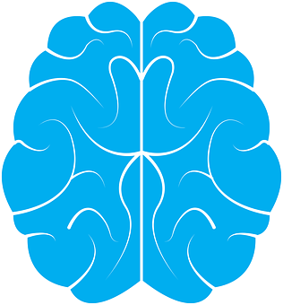Stylized Blue Brain Illustration PNG with transparent background