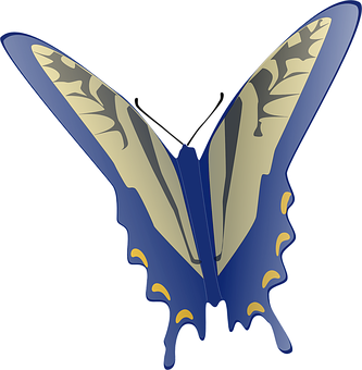 Stylized Blue Butterfly Graphic PNG with transparent background