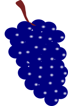 Stylized Blue Grapes Illustration PNG with transparent background