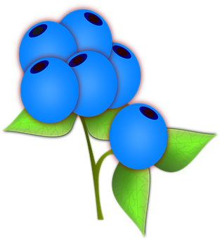 Stylized Blueberries Illustration PNG with transparent background