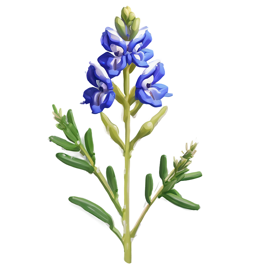 Stylized Bluebonnet Portrait Png Fyu43