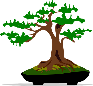 Stylized Bonsai Tree Graphic PNG image with a transparent background, free high-resolution download