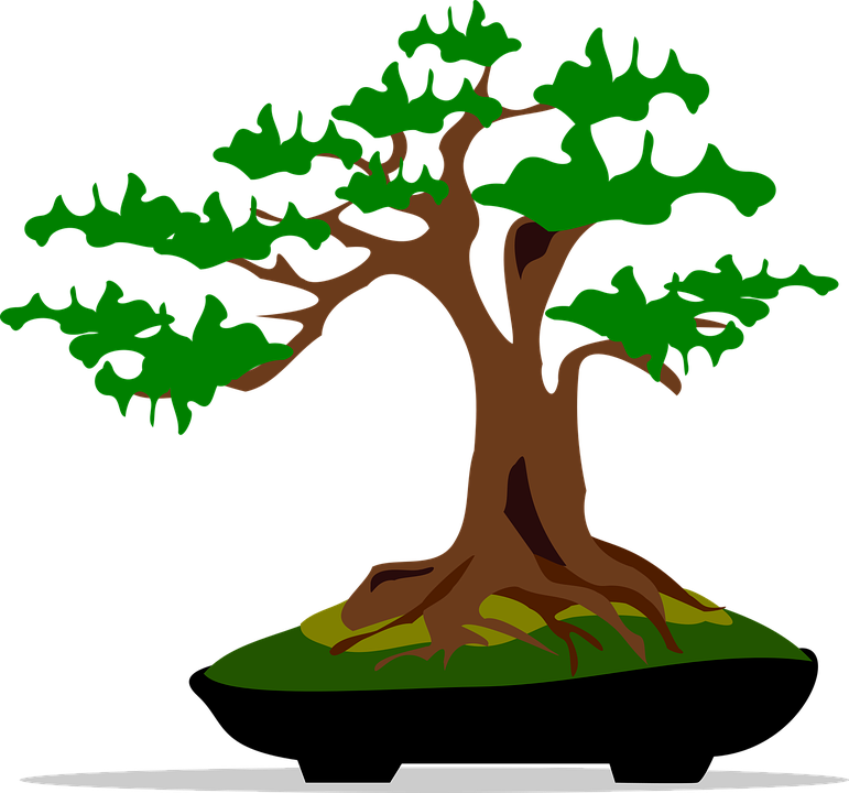 Stylized Bonsai Tree Illustration 771x720 PNG image with a transparent background, free high-resolution download