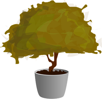 Stylized Bonsai Tree Illustration 350x340 PNG image with a transparent background, free high-resolution download