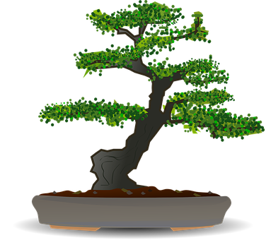 Stylized Bonsai Tree Illustration 376x340 PNG image with a transparent background, free high-resolution download