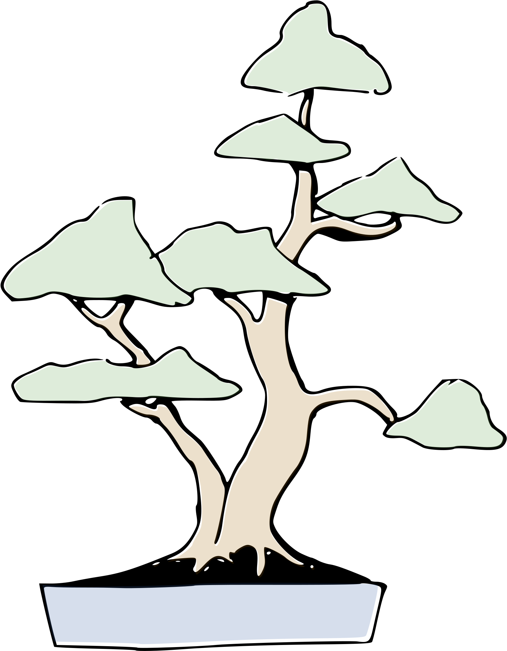 Bonsai Clipart , Png Download - Twin Trunk Bonsai, Transparent Png PNG with transparent background